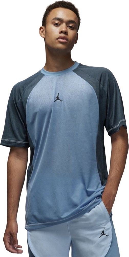 Купить оптом Футболка Nike Air Jordan Dri-FIT ADV Sport SS Top DZ0575-425 DZ0575-425