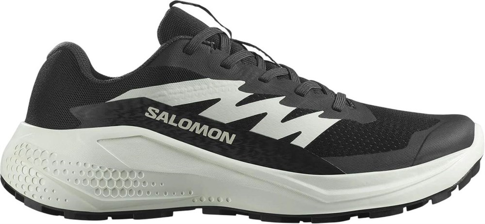 Купить оптом Кроссовки Salomon ALPHAGLIDE W L47801500 L47801500