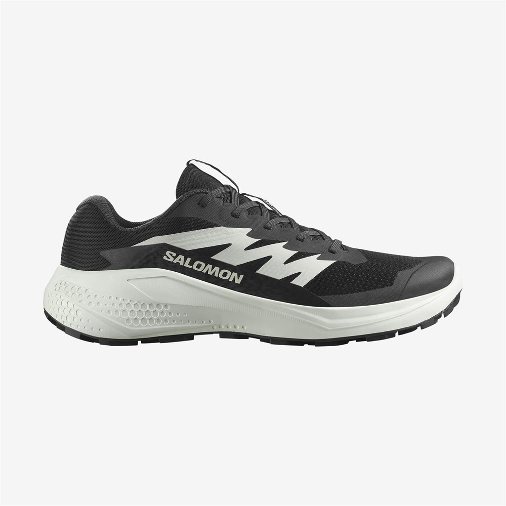 Купить оптом Кроссовки Salomon ALPHAGLIDE L47801000 L47801000