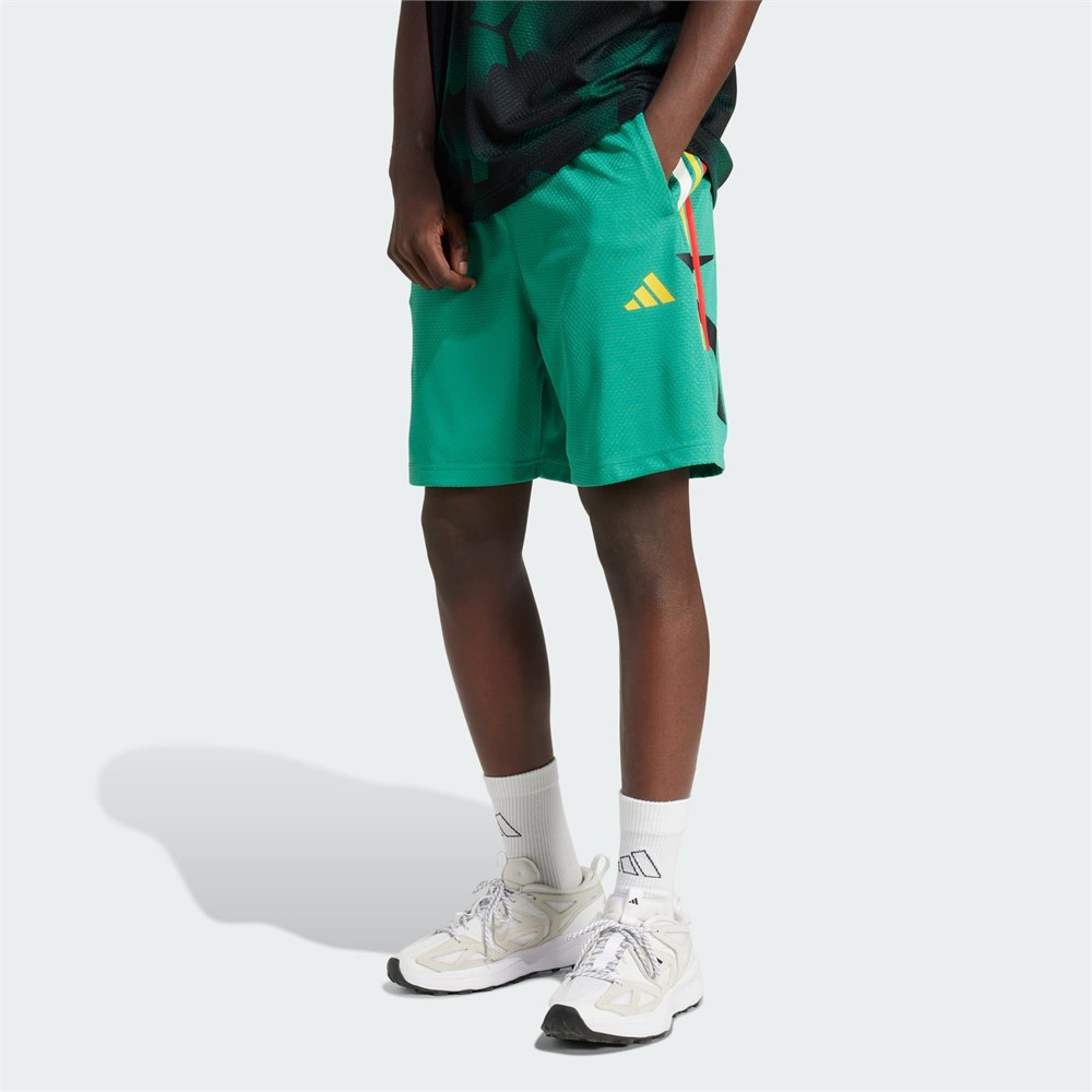 Купить оптом Шорты adidas M TIRO CB_NP SH JC8055 JC8055