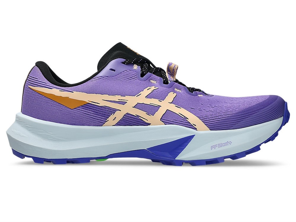 Купить оптом Кроссовки Asics FUJI LITE 6 1012B865-500 1012B865-500