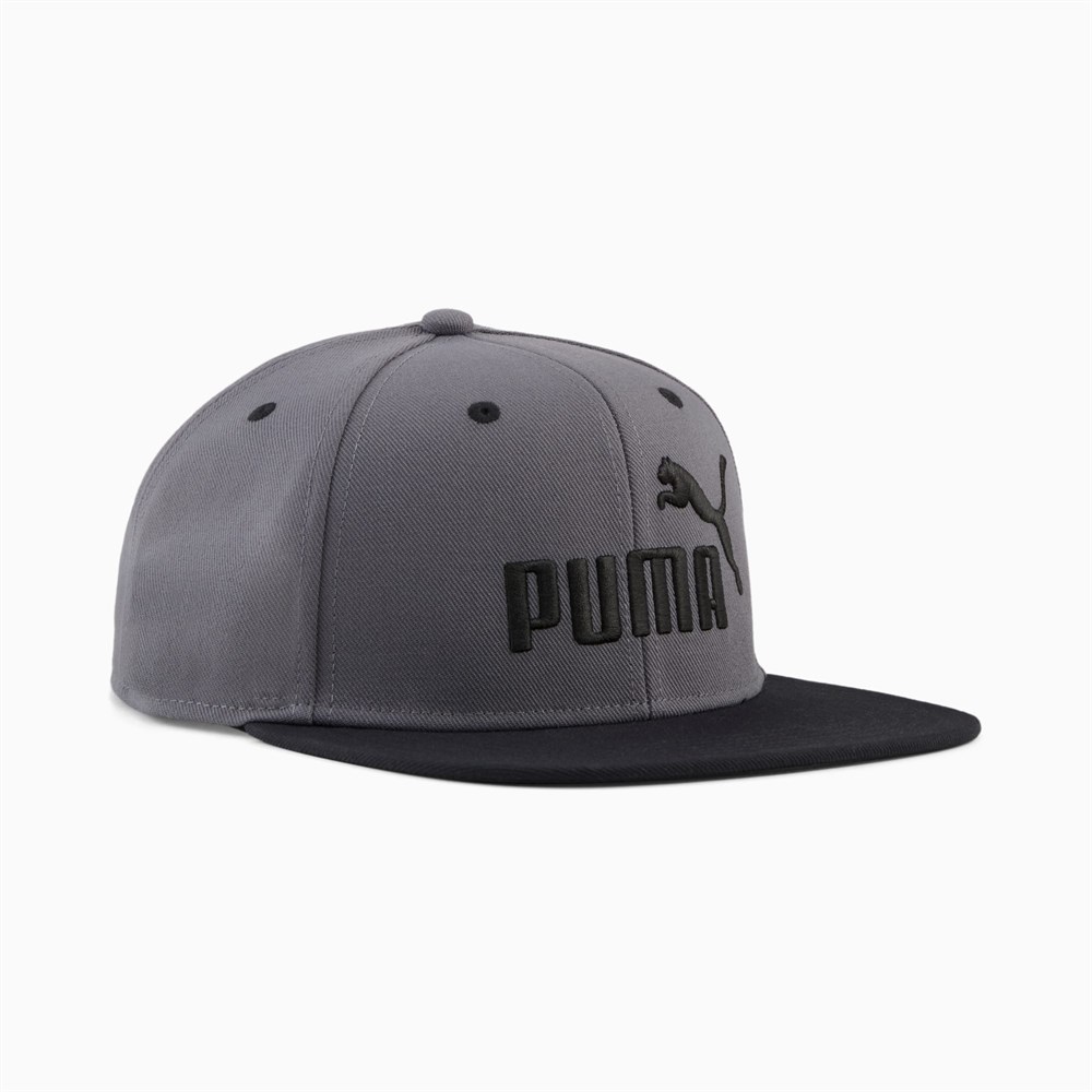 Купить оптом Puma Кепка Ess No. 1 Logo Flat Brim Cap, 02683804 02683804