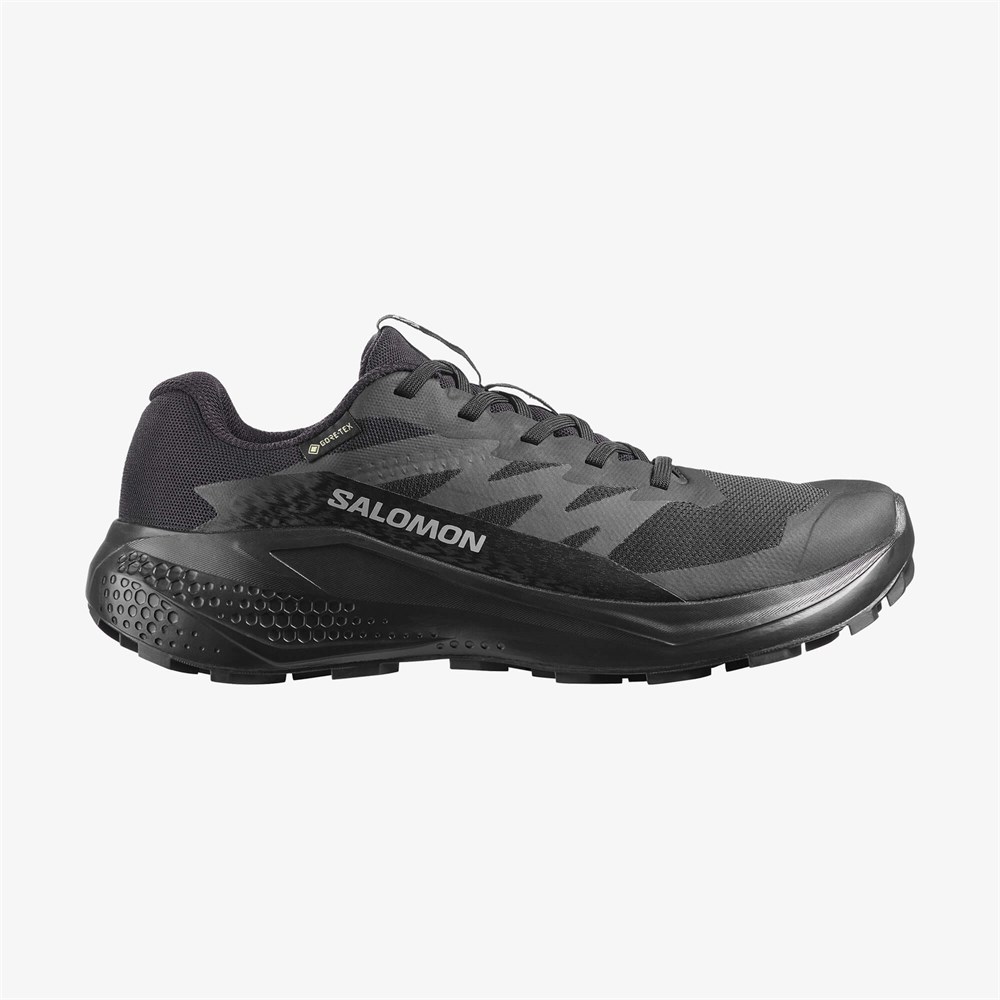 Купить оптом Кроссовки Salomon ALPHAGLIDE GTX W L49214400 L49214400
