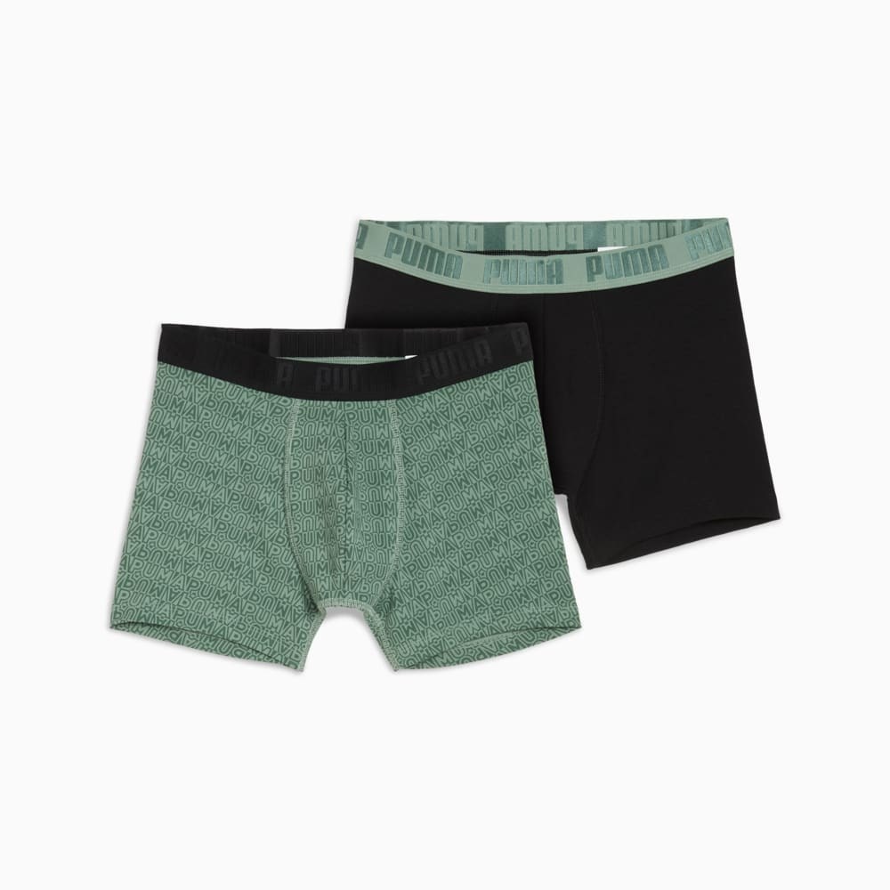 Купить оптом Puma Трусы Men Printed Boxers 2p, 93897204 93897204 - фото 88909