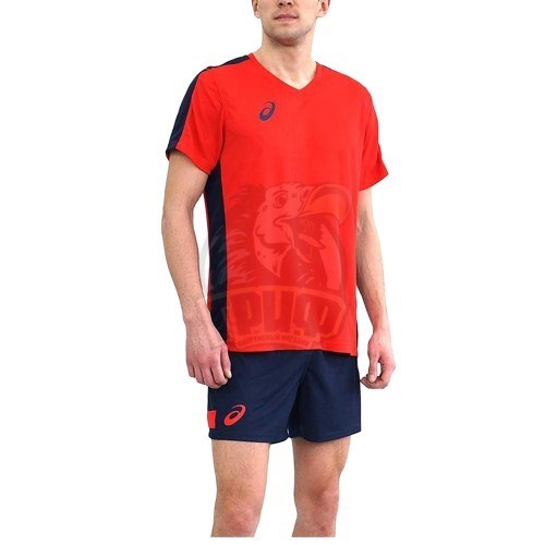 Купить оптом Комплект волейбол (футболка+шорты) Asics MAN VOLLEYBALL SET 156850-0600 REAL RED Unisex 156850-0600 - фото 93467