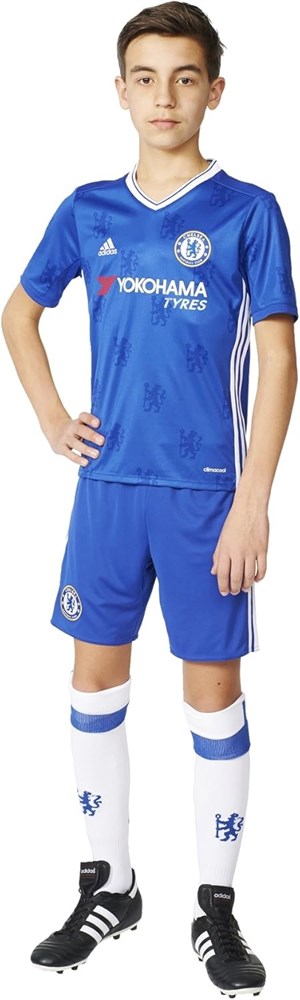 Купить оптом Футболка Adidas CFC H JSY Y CHEBLU/WHITE AI7124 Kids 140 AI7124 - фото 96711