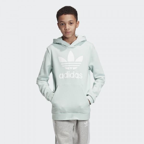 Купить оптом Толстовка Adidas TREFOIL HOODIE VAPGRN/WHITE ED7814 Kids 158 ED7814 - фото 96904