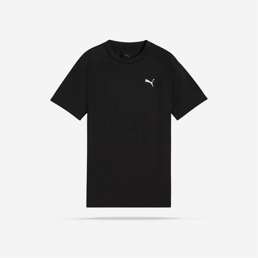 Купить оптом Puma Футболка Спорт. Назнач. Evostripe Tee, 68886201 68886201 - фото 99876