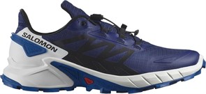 {{photo.Alt || photo.Description || 'Купить оптом Кроссовки Salomon SUPERCROSS 4 L47315700'}}