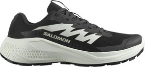{{photo.Alt || photo.Description || 'Купить оптом Кроссовки Salomon ALPHAGLIDE W L47801500'}}