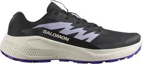 {{photo.Alt || photo.Description || 'Купить оптом Кроссовки Salomon ALPHAGLIDE W L47801800'}}