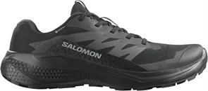 {{photo.Alt || photo.Description || 'Купить оптом Кроссовки Salomon ALPHAGLIDE GTX L47802100'}}