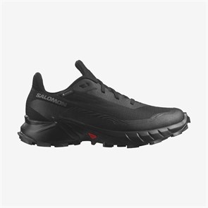 {{photo.Alt || photo.Description || 'Купить оптом Ботинки Salomon ALPHACROSS 5 GTX W L47310900'}}