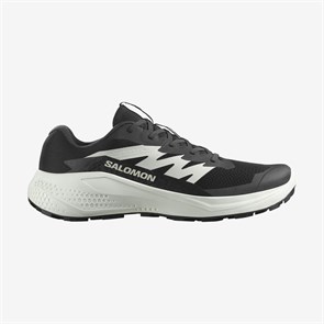 {{photo.Alt || photo.Description || 'Купить оптом Кроссовки Salomon ALPHAGLIDE L47801000'}}