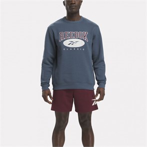 {{photo.Alt || photo.Description || 'Купить оптом Толстовка Reebok ARCHIVE ESSENTIALS HOODIE 100036873'}}