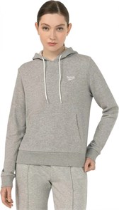{{photo.Alt || photo.Description || 'Купить оптом Толстовка Reebok RI SL FRENCH TERRY HOODIE 100075635'}}