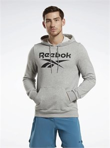 {{photo.Alt || photo.Description || 'Купить оптом Толстовка Reebok IDENTITY BIG LOGO FT HOODIE 100221782'}}
