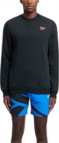 {{photo.Alt || photo.Description || 'Купить оптом Джемпер Reebok IDENTITY SMALL LOGO FT CREW 100221788'}}