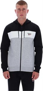 {{photo.Alt || photo.Description || 'Купить оптом Толстовка Reebok DUSTIN 2 COL BLOCK ZIP THROUGH HOODY 100240463'}}