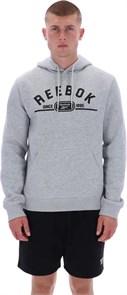 {{photo.Alt || photo.Description || 'Купить оптом Толстовка Reebok DYLAN PULLOVER HOODY 100240519'}}