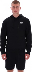 {{photo.Alt || photo.Description || 'Купить оптом Толстовка Reebok NOAH SMALL LOGO HOODY 100240570'}}