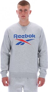 {{photo.Alt || photo.Description || 'Купить оптом Джемпер Reebok JULIAN 2 COL LOGO CREWNECK Кофта 100240707'}}