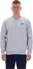 {{photo.Alt || photo.Description || 'Купить оптом Джемпер Reebok KAI SMALL LOGO CREWNECK Кофта 100240742'}}