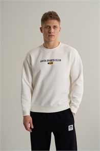 {{photo.Alt || photo.Description || 'Купить оптом Свитшот Anta SPORTS CLUB Кофта 852618734-1'}}