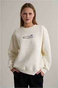 {{photo.Alt || photo.Description || 'Купить оптом Свитшот Anta SKATE Кофта 862618710-2'}}