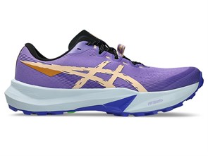 Купить оптом Кроссовки Asics FUJI LITE 6 1012B865-500 1012B865-500