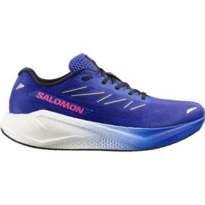 Купить оптом Кроссовки Salomon AERO BLAZE 3 L49105600 L49105600