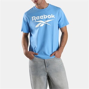 Купить оптом Футболка Reebok CHAD BIG LOGO CREW NECK SS TEE 100251647 100251647