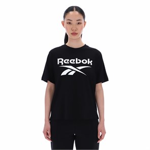 {{photo.Alt || photo.Description || 'Купить оптом Футболка Reebok NOVA BIG LOGO OVERSIZED CRW SS TEE 100241377'}}