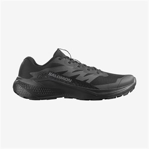 Купить оптом Кроссовки Salomon ALPHAGLIDE L47948300 L47948300