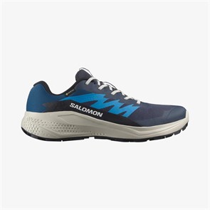 Купить оптом Кроссовки Salomon ALPHAGLIDE GTX L47975100 L47975100