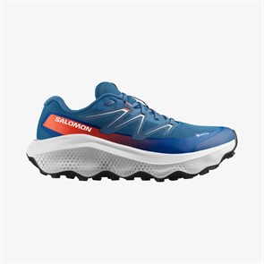 Купить оптом Кроссовки Salomon ULTRA FLOW 2 GTX L47981500 L47981500