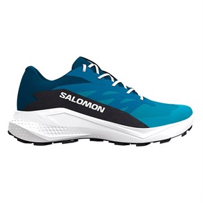 Купить оптом Кроссовки Salomon ALPHAGLIDE L48000400 L48000400