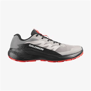 Купить оптом Кроссовки Salomon ALPHAGLIDE L48000800 L48000800