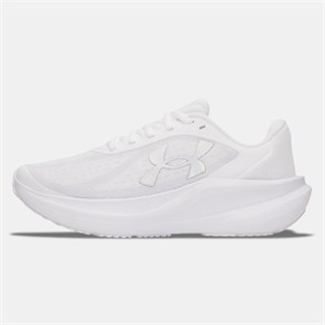 Купить оптом Кроссовки Under Armour W Chase 6014418-100 6014418-100