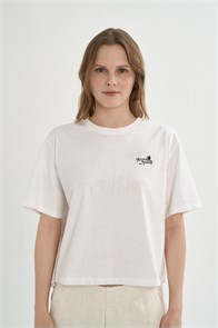 {{photo.Alt || photo.Description || 'Купить оптом Футболка Anta SPORTS CLUB SS Tee 862628112-1'}}
