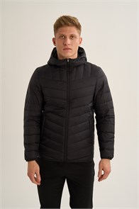 {{photo.Alt || photo.Description || 'Купить оптом Пуховик легкий Anta TRN-ESSENTIAL Down Куртка 852647902C-3'}}