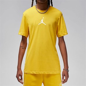 {{photo.Alt || photo.Description || 'Купить оптом Футболка х/б Air Jordan Jumpman Dri-FIT SS Crew CW5190-752'}}