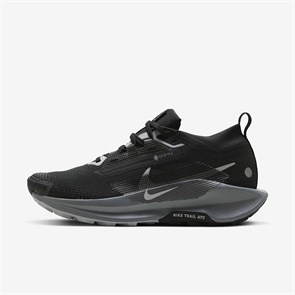 {{photo.Alt || photo.Description || 'Купить оптом Кроссовки Nike Pegasus Trail 5 GORE-TEX FQ0912-001'}}
