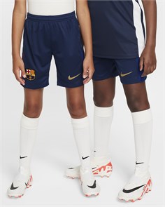 {{productViewItem.photos[photoViewList.activeNavIndex].Alt || productViewItem.photos[photoViewList.activeNavIndex].Description || 'Купить оптом Шорты Nike FCB Y NK DF SHORT STAD HM FN9187-410 MIDNIGHT NAVY/NOBLE RED/CLUB GOLD Kids'}}