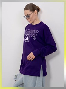 {{photo.Alt || photo.Description || 'Купить оптом Пуловер Champion W4833G'}}