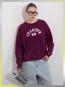 {{photo.Alt || photo.Description || 'Купить оптом Толстовка Champion W59218'}}