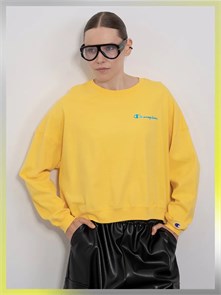 {{photo.Alt || photo.Description || 'Купить оптом Пуловер Champion W6189G'}}