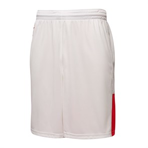 {{photo.Alt || photo.Description || 'Купить оптом Puma Шорты Russian Game Short, 60563301'}}