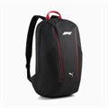 Купить оптом Puma Рюкзак F1 Large Backpack, 09126801 09126801 - фото 100954