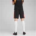 Купить оптом Puma Шорты Individualligatrainingshorts, 65951907 65951907